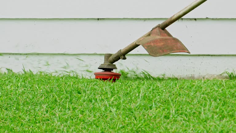 Best Soil Testing and Treatment  in Covington, KY
