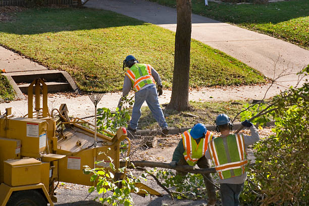 Best Storm Damage Tree Cleanup  in Covington, KY